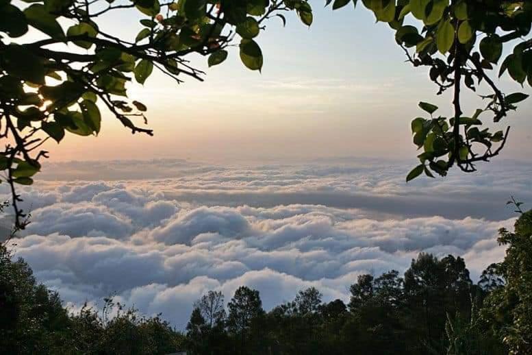 Minus 1 Hotel Kodaikanal Luaran gambar